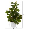 Nearly Natural 16-in Peperomia Artificial Plant in Decorative Planter - 2 of 4