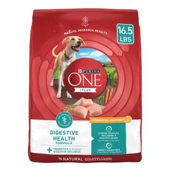 Purina ONE SmartBlend Digestive Health with Probiotics Chicken Adult Dry Dog Food