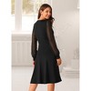 Seta T Women's Lantern Long Sleeve Round Neck Elegant Swiss Dots Work Knee Length Dress - 4 of 4