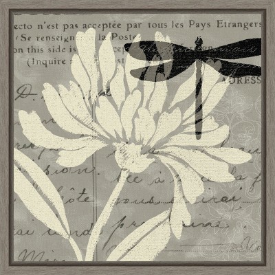 Amanti Art Natural Prints II by Daphne Brissonnet Canvas Wall Art Print Framed 16-in. x 16-in.