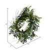 Vickerman 24" Artificial Mixed Olive Leaf Wreath - image 3 of 4