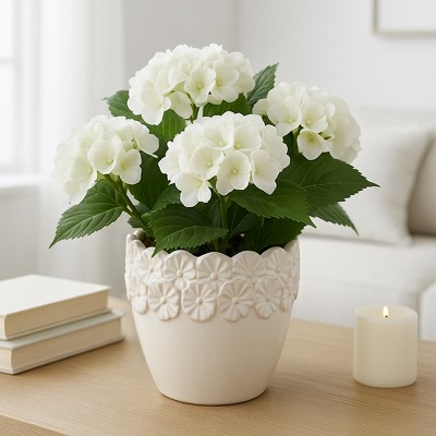 Stoneware Ceramic Planter with Embossed Floral Rim and Curved Edge Detailing for Decorative Display and Contemporary Accent Styling