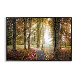 Stupell Industries Follow The Light Forest Path Framed Giclee Art - 1 of 4
