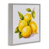 Stupell Industries Lemon Delights Fruit, 17" x 17" - 3 of 4