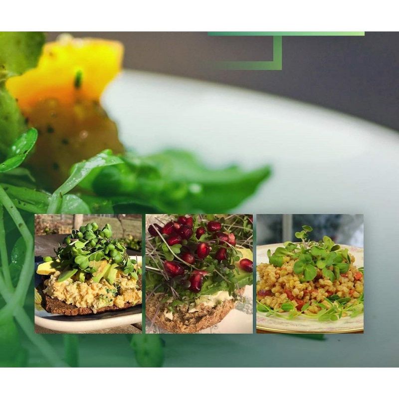 Window Garden Indoor Broccoli Microgreens Seed Starter Vegan Growing Kit, 2 of 4
