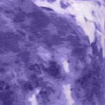petal purple tie dye
