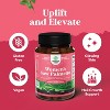 Women Saw Palmetto Capsules, DHT Blocker Restoring Hair Vitamins for Hair Health, Nature's Craft, 90ct - 2 of 4