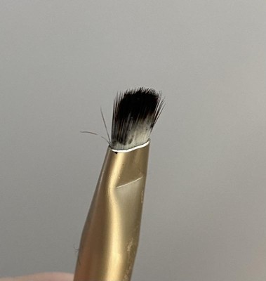 Sonia Kashuk™ Essential Small Eyeshadow Brush No. 260 : Target