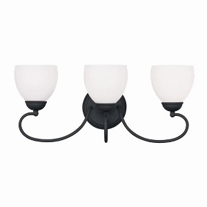 Livex Lighting Brookside 3 - Light Vanity in  Black - 1 of 1