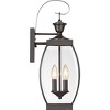 Quoizel Lighting Oasis 2 - Light Sconce in  Medici Bronze - 3 of 4