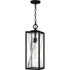 Zarah 1-Light Matte Black Outdoor Hanging Lantern - 4 of 4