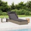vidaXL Sunbed with Foldable Roof - Adjustable Daybed Lounger Wicker PE Rattan - Gray Patio Outdoor Furniture - 2 of 4