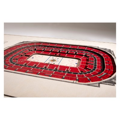 Chicago Blackhawks 3D StadiumView Wall Art with Emblem