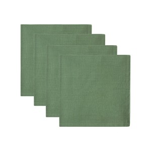 Design Imports Cotton Napkin Set/4, Loden Frost - 1 of 4