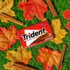 Trident Cinnamon Sugar Free Gum - 2.82oz - image 4 of 4