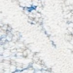 blue/ivory