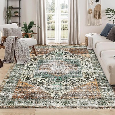 Area Rug Machine Washable Distressed Soft Non Slip Non Shedding Carpet Low Pile Throw Accent Rug for Bedroom Living Room