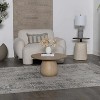 Hauteloom Meggett Luxury Fringed Faux Silk Rug - 3 of 4