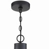 Craftmade Lighting Que 5 - Light Pendant in  Flat Black - 4 of 4