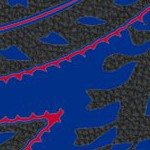 philadelphia phillies