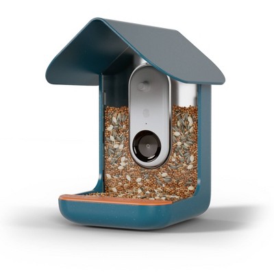 Blue Smart Bird Feeder with Camera and AI Identification