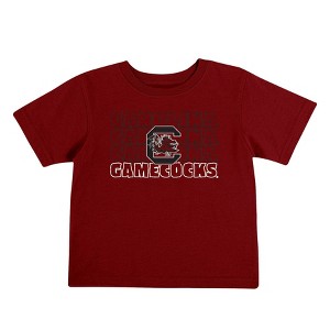 NCAA South Carolina Gamecocks Toddler Boys' 2pk T-Shirt - 1 of 4