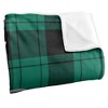 Slippery Rock University Campus Plaid Spirit Silky Touch Super Soft Throw Blanket 50x60 - 3 of 4
