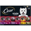 Cesar Classic Loaf in Sauce Potato, Steak, Vegetable, Beef, Egg and Bacon Flavor Variety Pack Small Breed Wet Dog Food - 3.5oz/36ct - 2 of 4