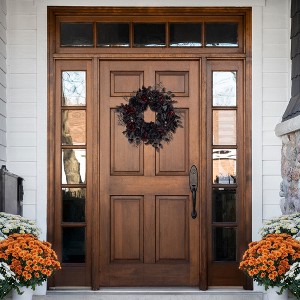 Northlight Roses and Foliage Halloween Spider Wreath - 24" - Burgundy and Black - Unlit - 1 of 4