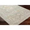 Hauteloom Ixtli Cream & Gold Area Rug - image 4 of 4