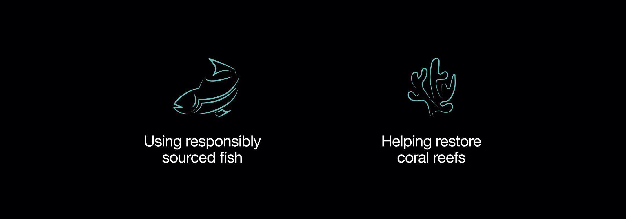 Using responsibly sourced fish
Helping restore coral reefs