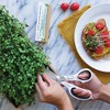 HAMAMA Home Microgreens Growing Kit - Sprouts Growing Kit, Sprouting Kit - Grow Your Own Micro Greens Indoor - 3 of 4