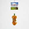 Kaytee Carousel Chew Toy - Carrot (1.75" Diameter x 4.75" High) - 4 of 4