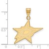 Black Bow Jewelry 14k Yellow Gold Dallas Stars NHL Large Pendant - 2 of 3