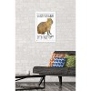 Trends International Capybara - Be Cappy Framed Wall Poster Prints - 2 of 4