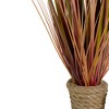 Northlight 34" Red Artificial Grass Plant in a Rope Pot - 2 of 4