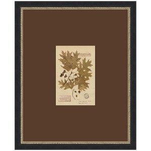 Kate and Laurel Vintage Botanical 9b by Corinna Buchholz of Piddix ...