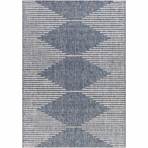 Hauteloom Stephan Navy Outdoor Rug - 1 of 4