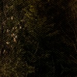 farmhouse gray
