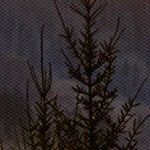 farmhouse gray