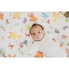Copper Pearl Premium Crib Sheet - Sesame Street - 2 of 4