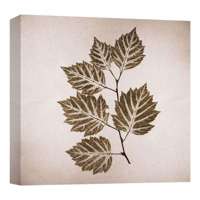 16" x 16" Autumn Leaves II Decorative Wall Art - PTM Images