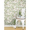 Roommates Cat Coquillette Eucalyptus Peel And Stick Wallpaper Green ...