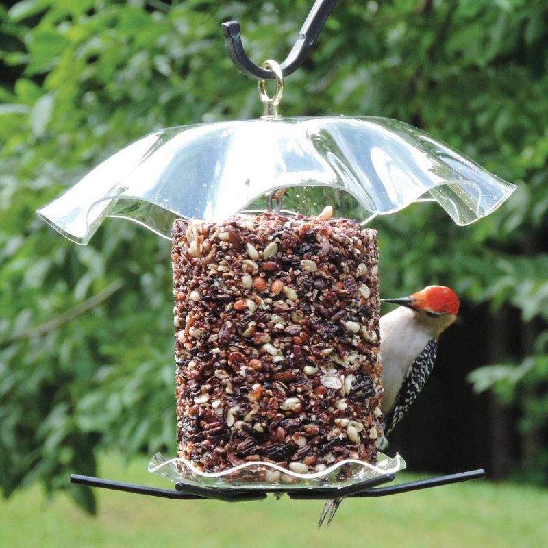 Birds Choice Seed Cylinder Novelty Bird Feeder 15&#34; Clear - Seed Cylinder Not Included, 5 of 6
