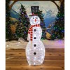 Novelty Lights LED Pre-Lit Yard Art Christmas Decoration - 4 of 4