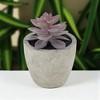 Unique Bargains Artificial Plants Plastic Pink 2.36"x2.36"x2.76" 1 Pcs - 2 of 4