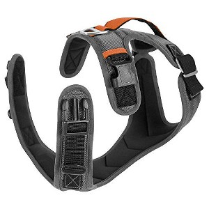 Gooby Pioneer Dog Harness with Control Handle & Seat Belt Restrain Capability, XLarge, Gray - 1 of 1