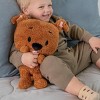 Warner Bros. Cuteeze Scooby-Doo 12 Inch Collectible Plush Toy - 4 of 4