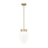 Gideon 1-Light Pendant - Vintage Chic Steel Fixture with Opal Glass Shade, Dimmable, Damp Rated - 2 of 4