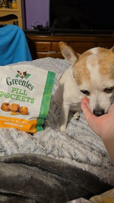 Greenies Chewy Dog Treats Pill Pockets Chicken Capsule Size 7.9oz 30ct Target